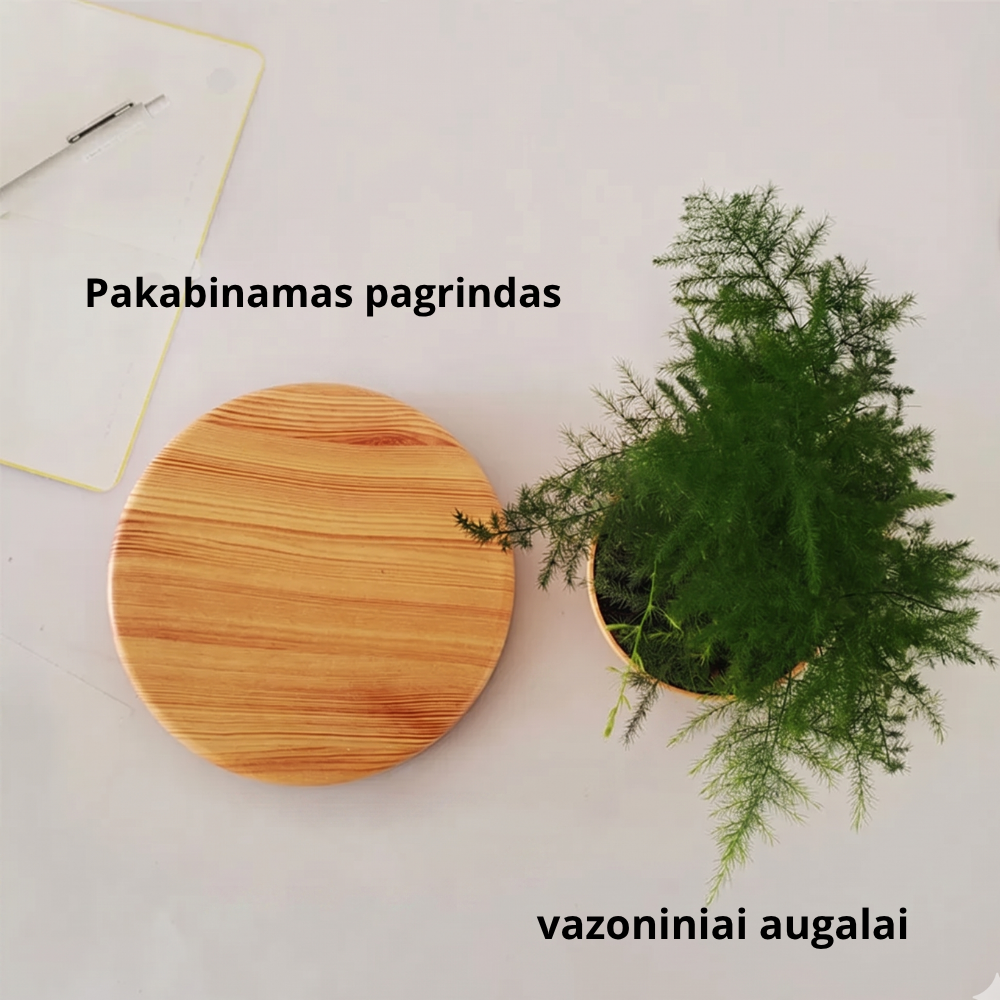 Magnetinis levituojantis augalų vazonas – plaukiojantis besisukantis vazonas
